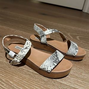 Steve Madden Platform Sandal Faux Snake Skin